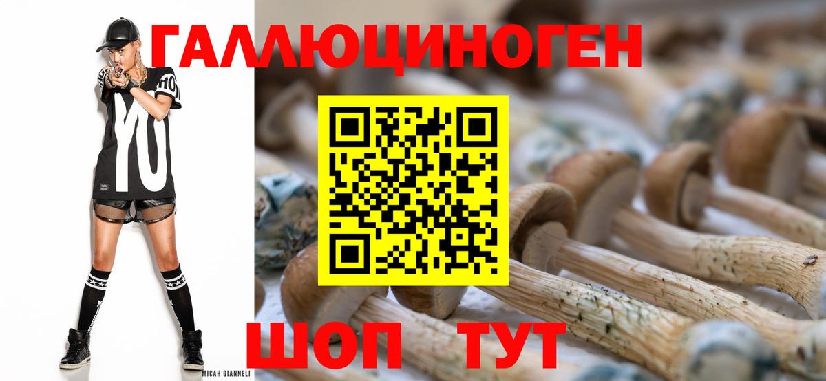 купить   Вход с VPN  Бирск  Псилоцибиновые грибы мухоморы 